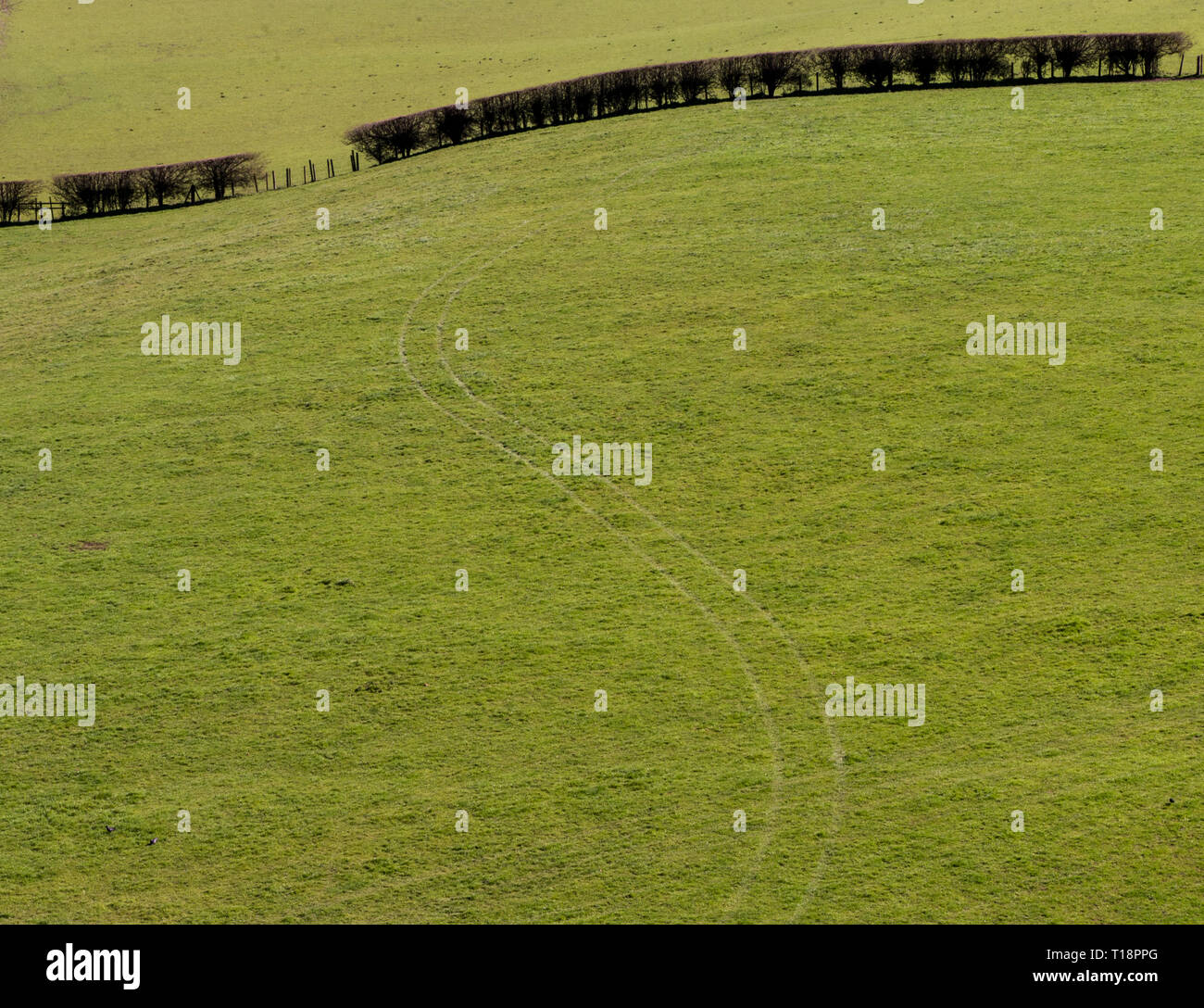 Field with curved hedge and vehicle tracks viewed from Pontcysyllte Aqueduct and Canal, near Langollen, Wales, UK Stock Photo
