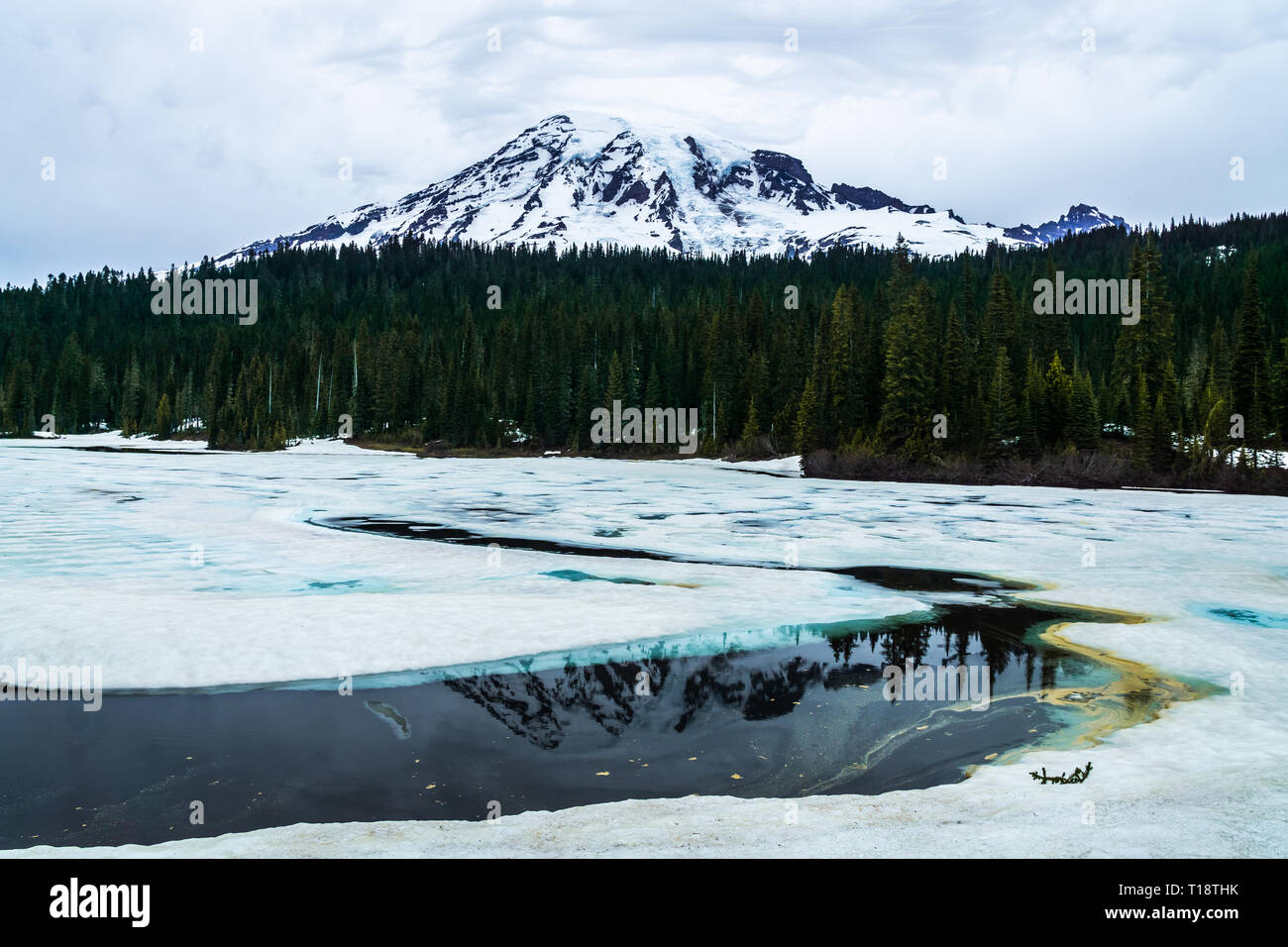 Snowy Mt. Rainier scenic landscape at Reflection Lakes on a wintry day in june, Mount Rainier National Park, WA, USA. Stock Photo