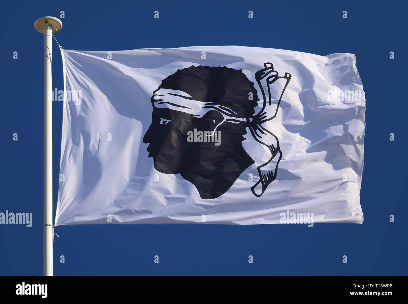 Corse drapeau corse Stock Photo - Alamy