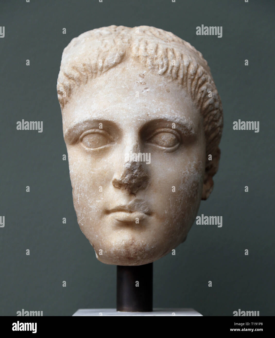 Hellenistic ruler head. Greek original from Phoenicia (3rd century BC). Marble. NY Carlsberg Glyptotek. Denmark. Stock Photo