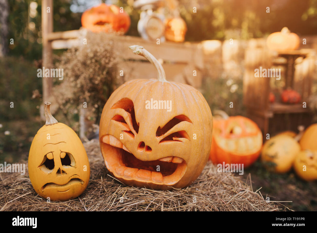 Ghost pumpkins on Halloween. ead Jack on an autumn background. Holiday outdoor decorations Stock Photo