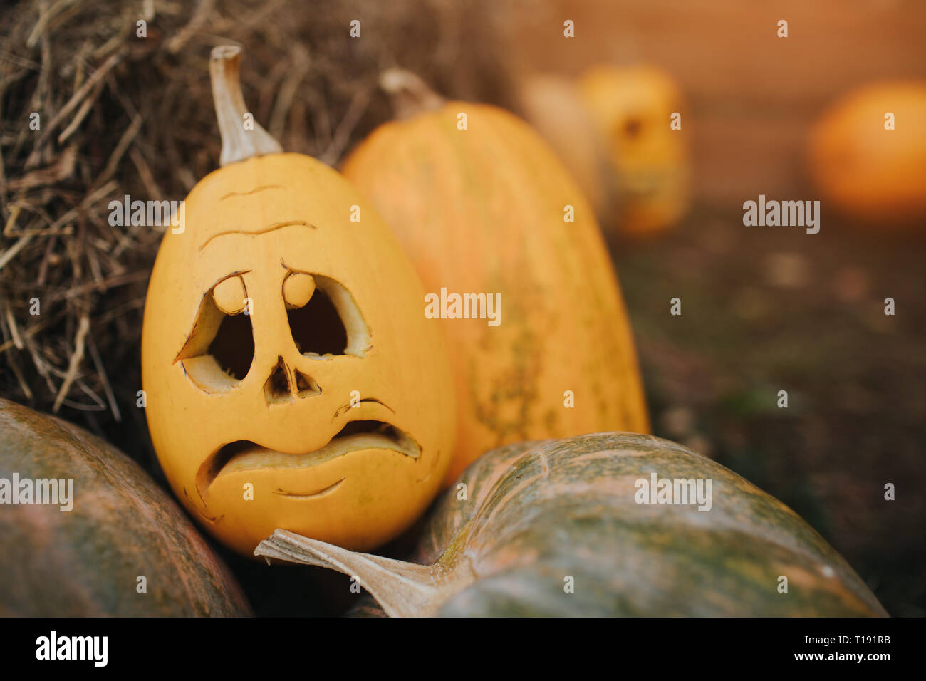 Ghost pumpkins on Halloween. ead Jack on an autumn background. Holiday outdoor decorations Stock Photo