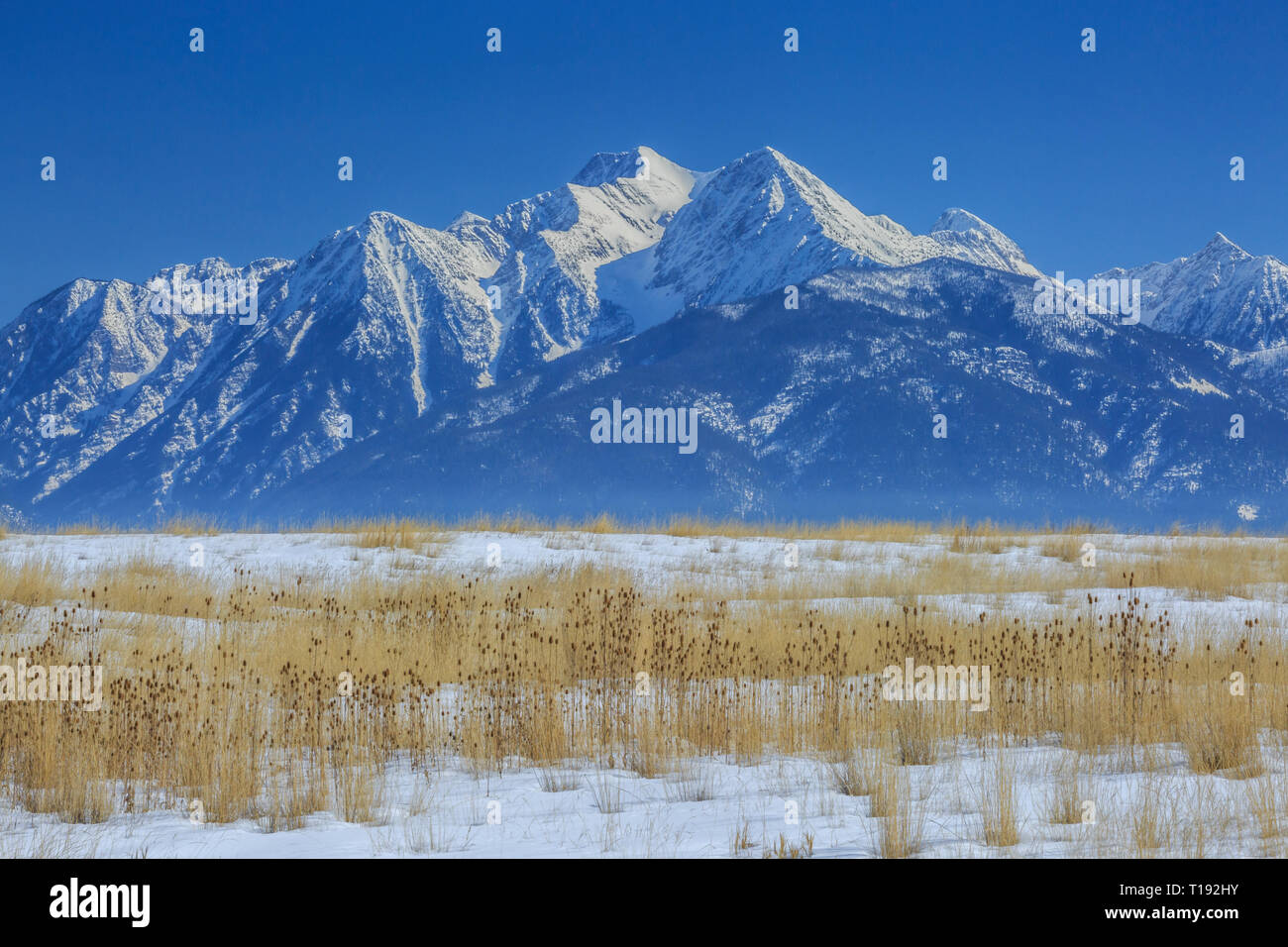 mission mountains above a field in the mission valley in winter near