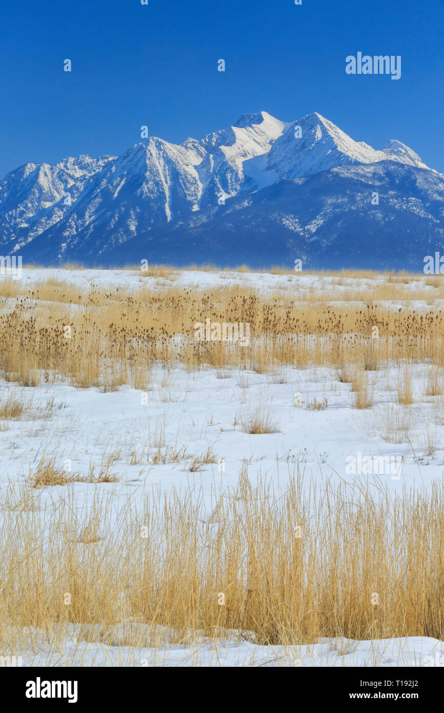 mission mountains above a field in the mission valley in winter near
