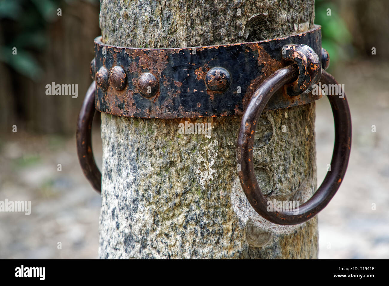 Blocker Tie Ring for horse, Ornate iron horse tie ring on the facade of ...