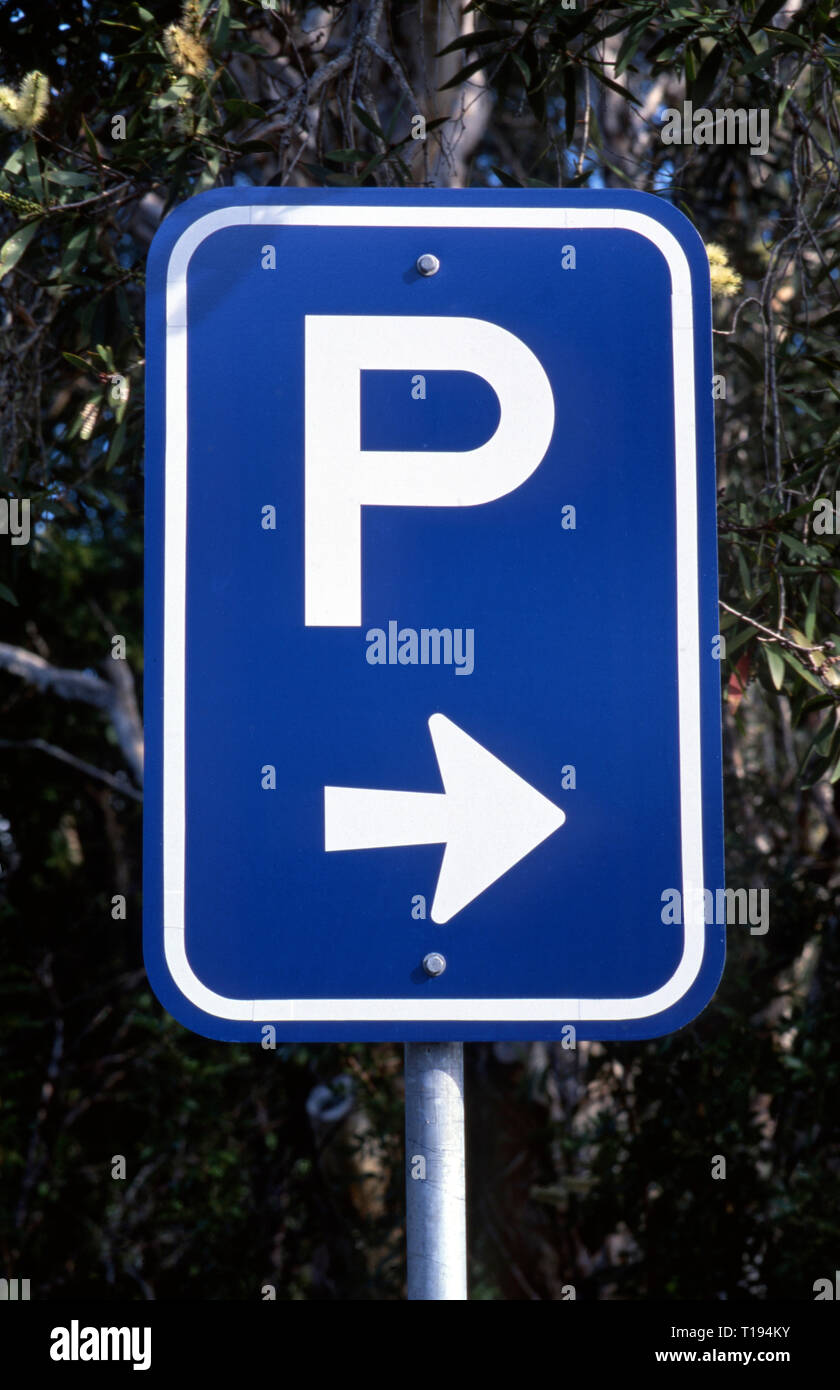 This Way Sign With Arrow