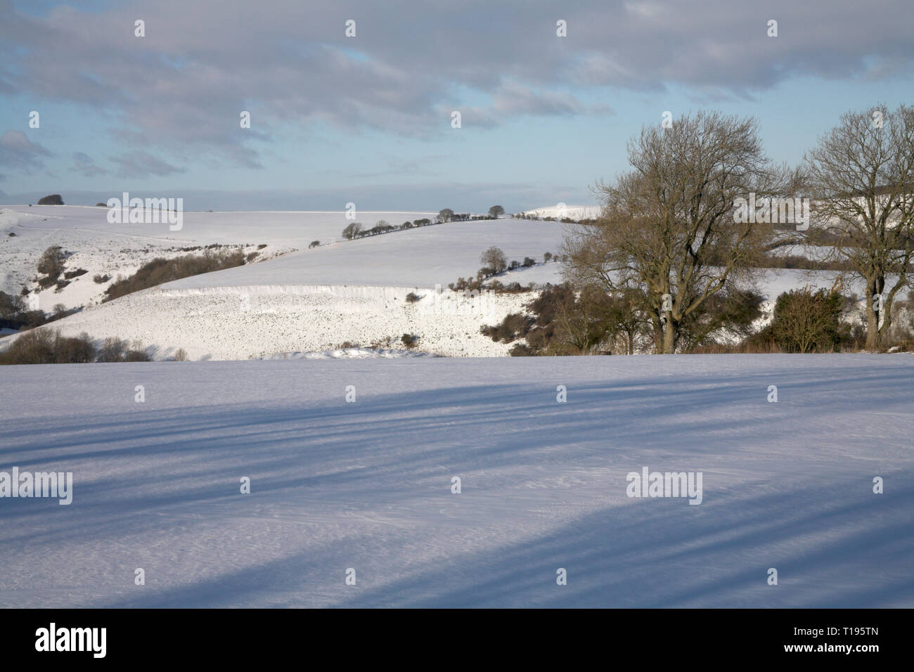 Snow covered farmland near Win Green Wiltshire England Stock Photo