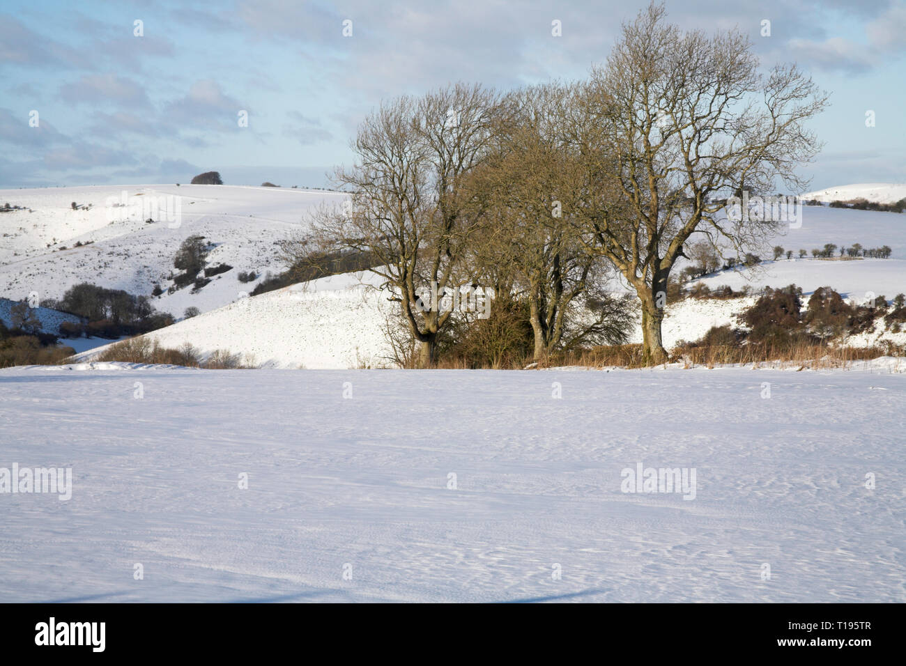 Snow covered farmland near Win Green Wiltshire England Stock Photo