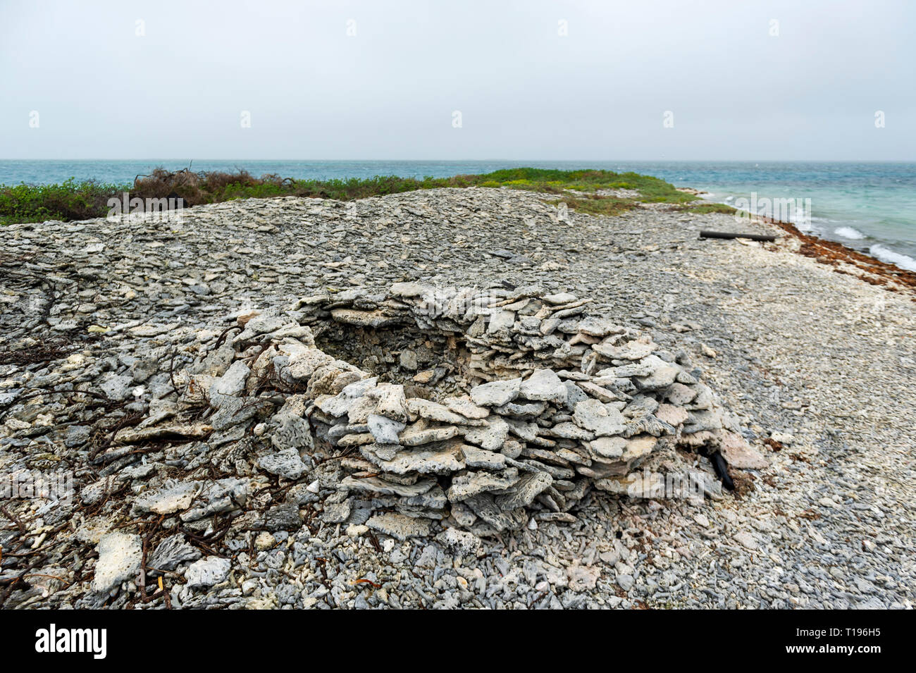 This is in the graveyard island of the second sea it looks like a