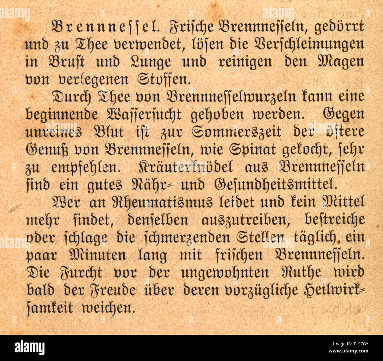 medicine, specialist book, naturopathy, 'Rathgeber fuer Gesunde und Kranke' (Companion for the Healthy and the Sick), by Sebastian Kneipp (1821 - 1897),  paragraph on stinging nettles, Donauwoerth, 1891, Additional-Rights-Clearance-Info-Not-Available Stock Photo