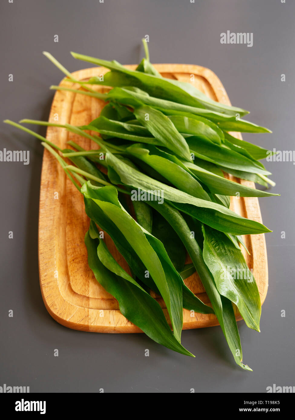 Garlic leaves hires stock photography and images Alamy