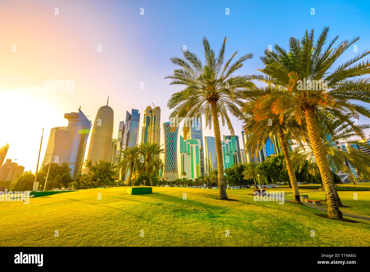 Palm trees in West Bay park along corniche promenade with glassed high rises at sunset on background. Doha skyline, Qatar, Middle East, Arabian Stock Photo