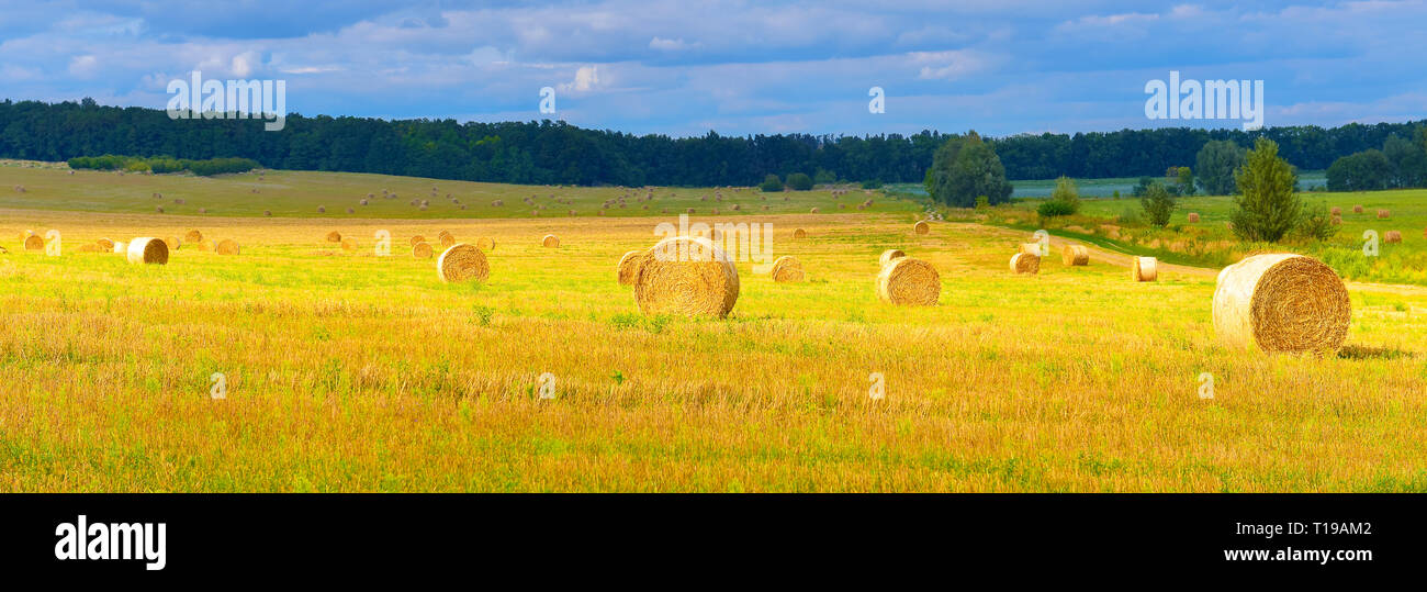Summer countryside with haystacks in field season Stock Photo