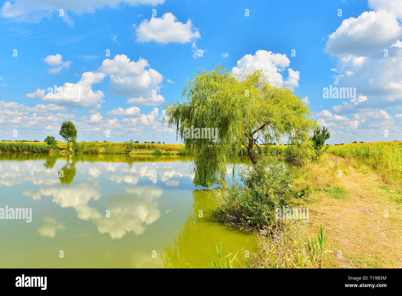 Picturesque lake in summer country. .View of pond with beautiful summer clouds. Stock Photo