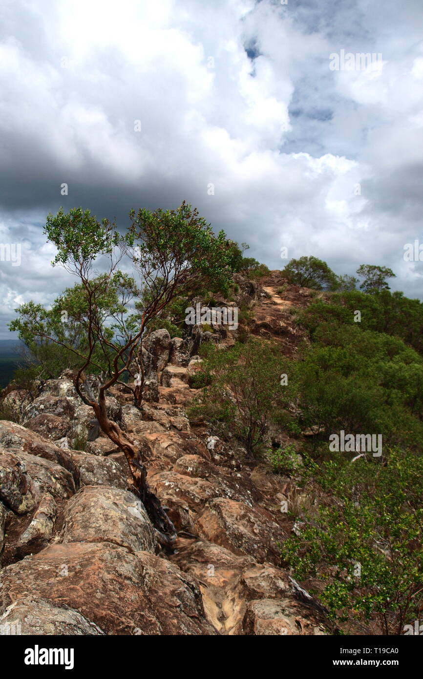 Glass house Mountains, walking trail, Queensland, Australia Stock Photo