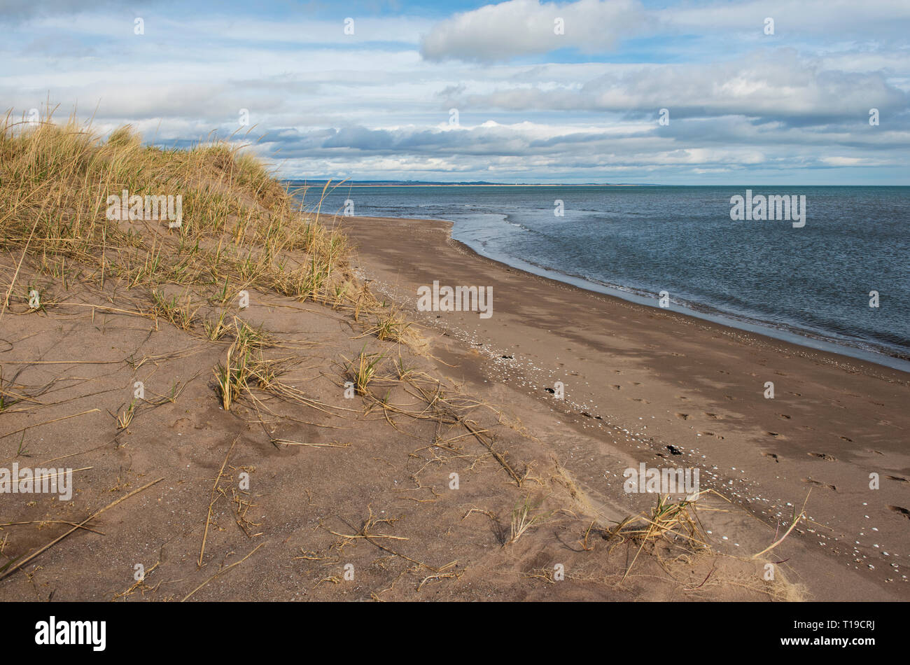Tentsmuir Beach, Fife, Scotland. Stock Photo