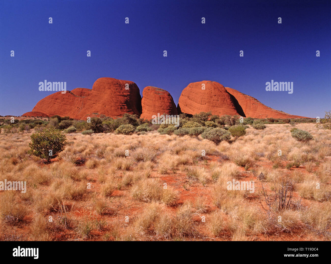 Australia. Northern Territory. Alice Springs region. The Kata Tjuta (Mount Olga) (The Olgas). Stock Photo