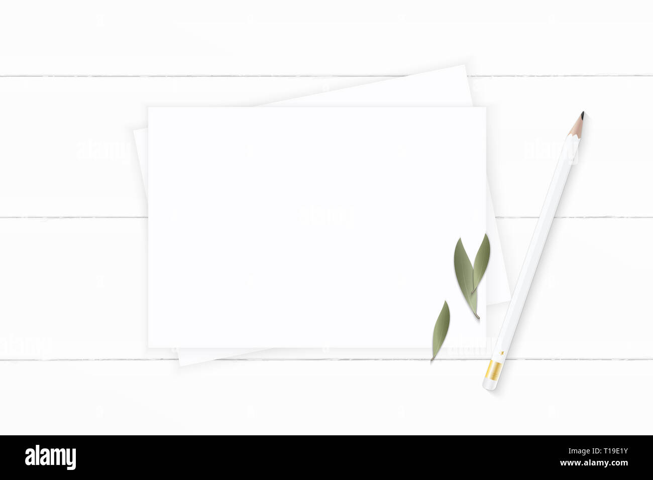 Flat lay top view elegant white composition paper nature leaf and ...