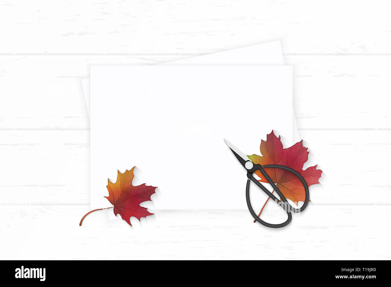 Flat lay top view elegant white composition paper autumn maple leaf and ...