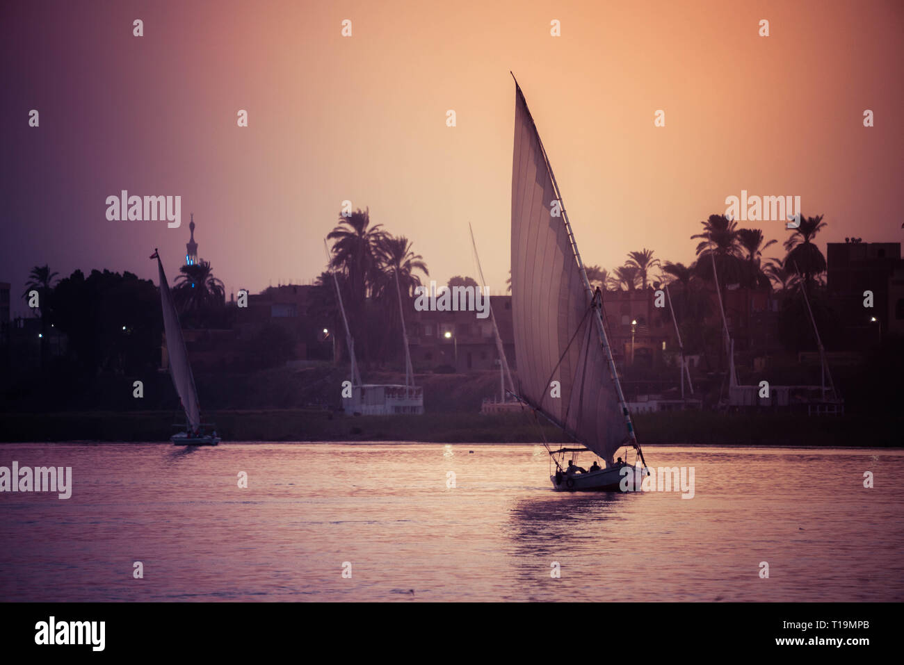 Sailboats at sunset on the Nile River in Luxor, Egypt Stock Photo - Alamy