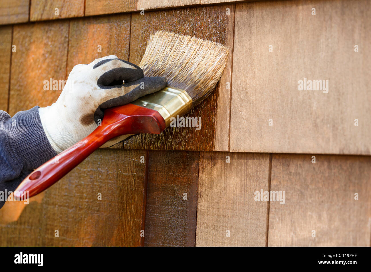 Paint brush close up siding hires stock photography and images Alamy