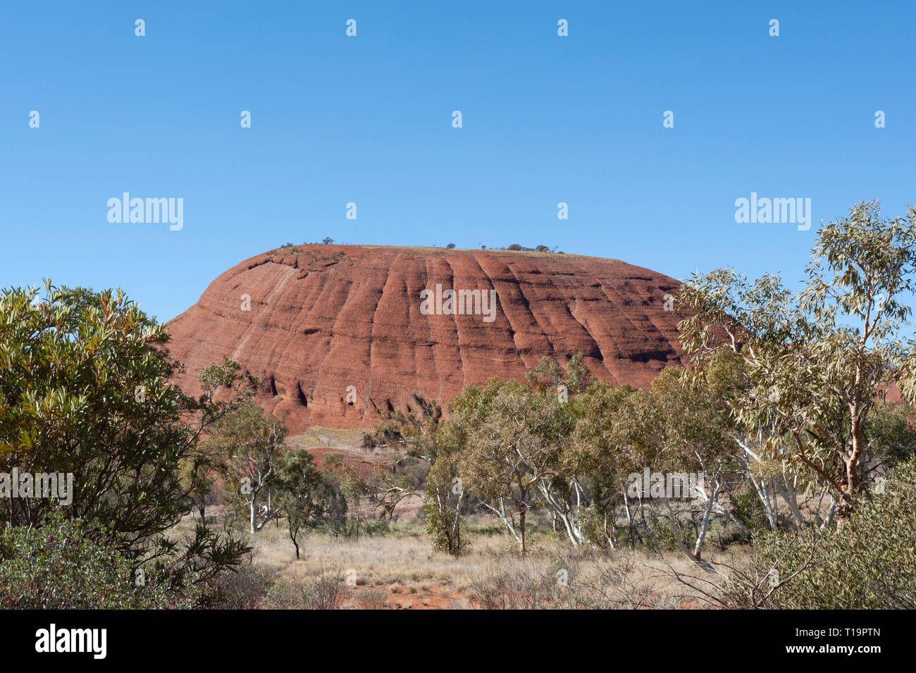 Dome rock formations of Kata Tjuta Stock Photo Alamy
