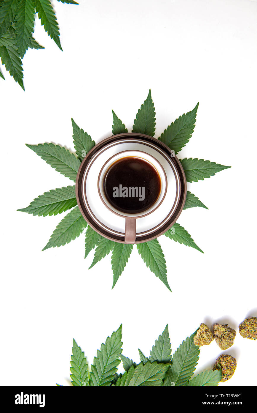 Nug Isolated Nugs hi-res stock photography and images - Alamy