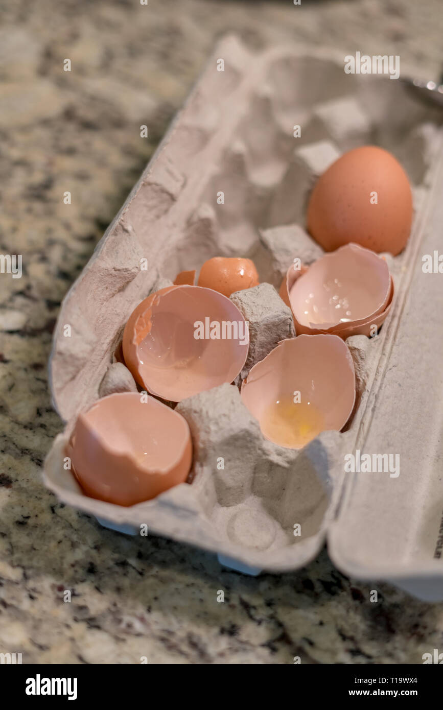 Last Egg in a Dozen Package Pack Stock Photo Alamy