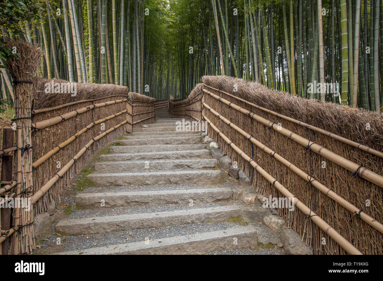 Path leading to Arashiyama Bamboo Grove in the Arashiyama district in northwest Kyoto Stock Photo
