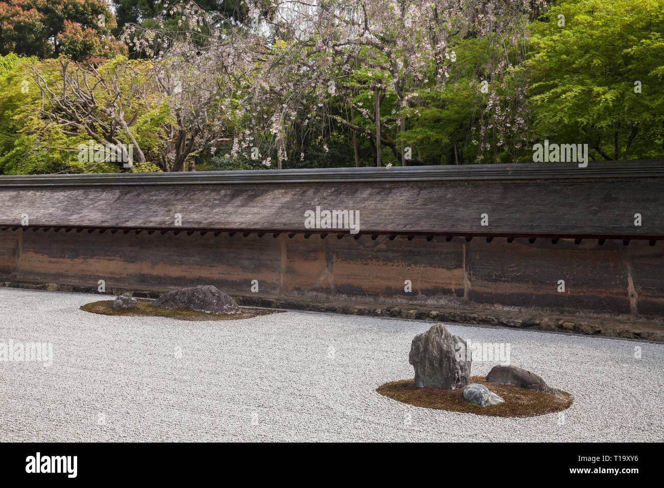 A portion of the Zen rock garden, earthen wall, and flowering trees at Ryōan-ji in Kyoto Stock Photo