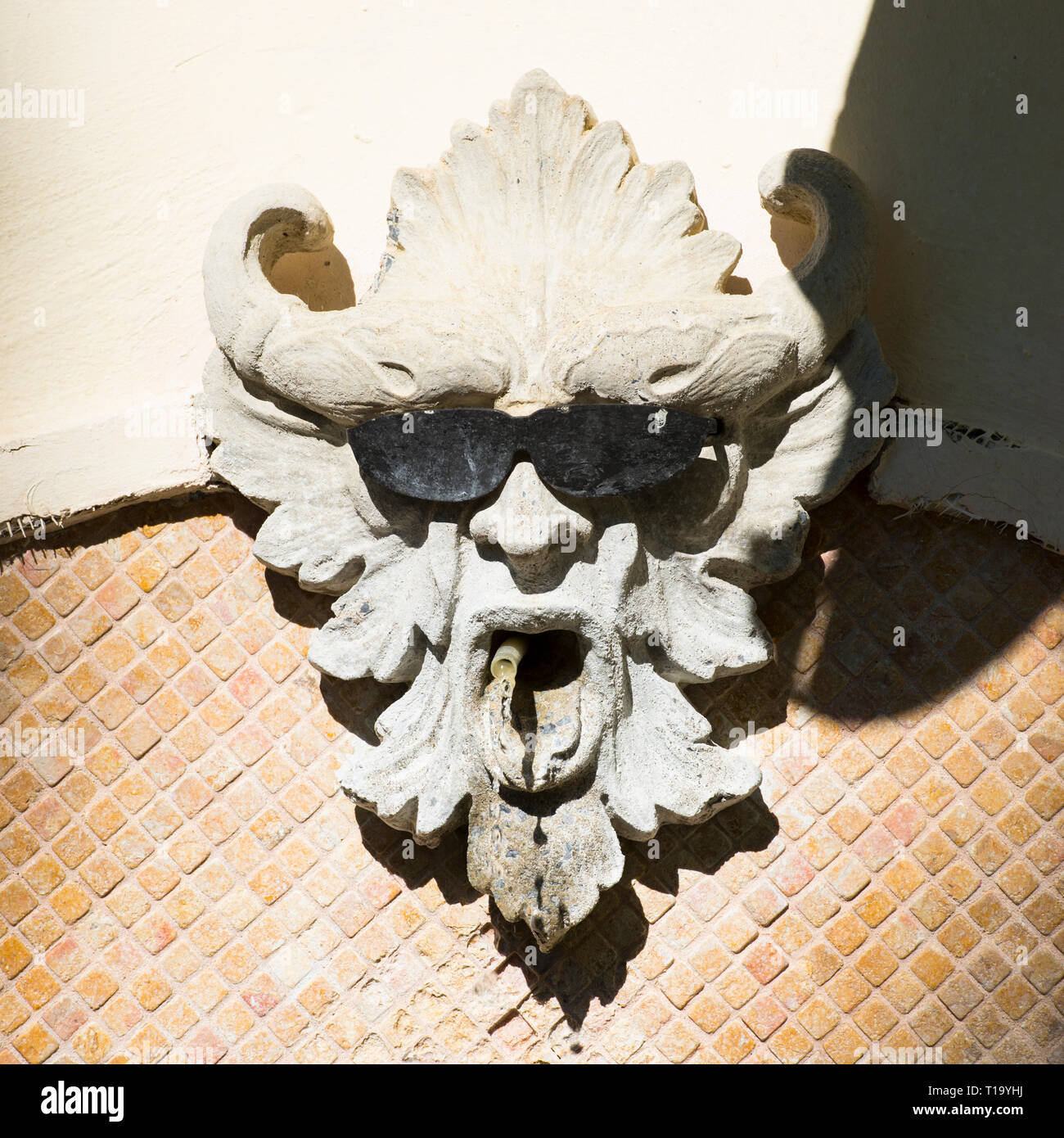 https://c8.alamy.com/comp/T19YHJ/funny-gargoyle-water-spout-with-sunglasses-left-by-a-passing-tourist-T19YHJ.jpg