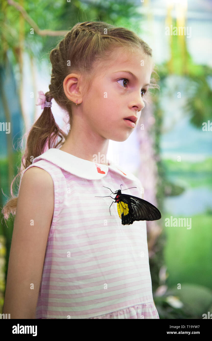 pretty little girl in dress with big tropical butterfly insect sitting on her chest Stock Photo