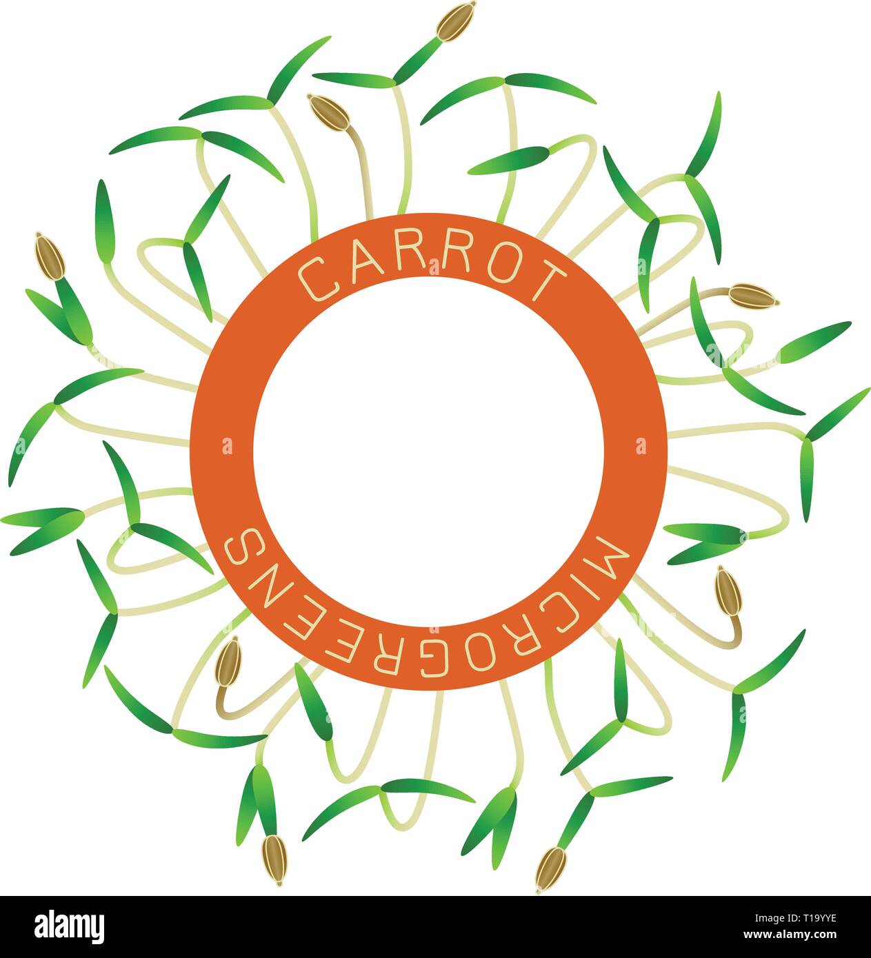 Microgreens Carrot. Seed packaging design, round element in the center