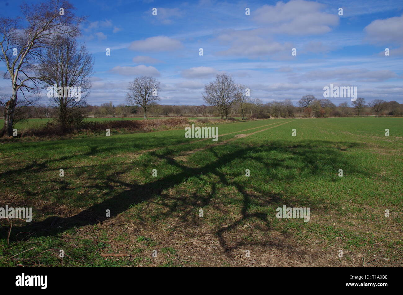 Little Compton. The Donnington Way. Warwickshire. Cotswolds. England