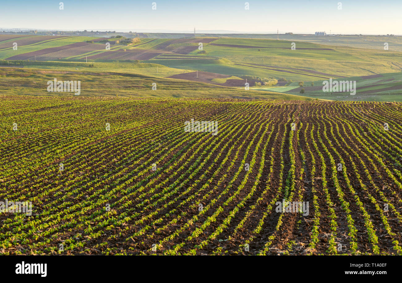 Cultivated lands hi-res stock photography and images - Alamy