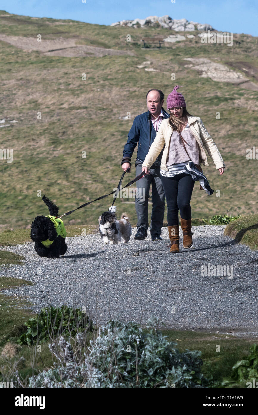 Dog walkers on a footpath. Stock Photo