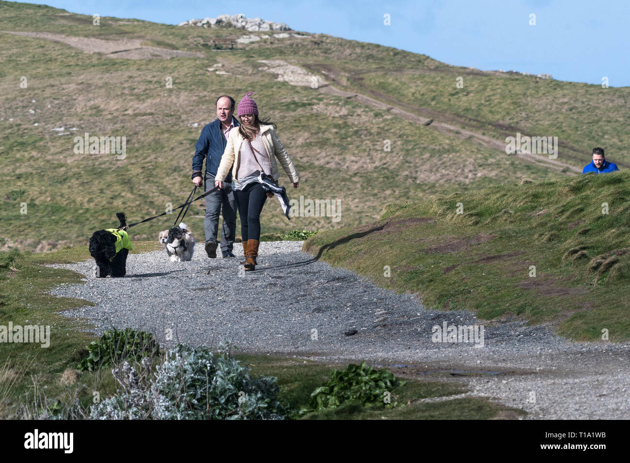 Dog walkers on a footpath. Stock Photo