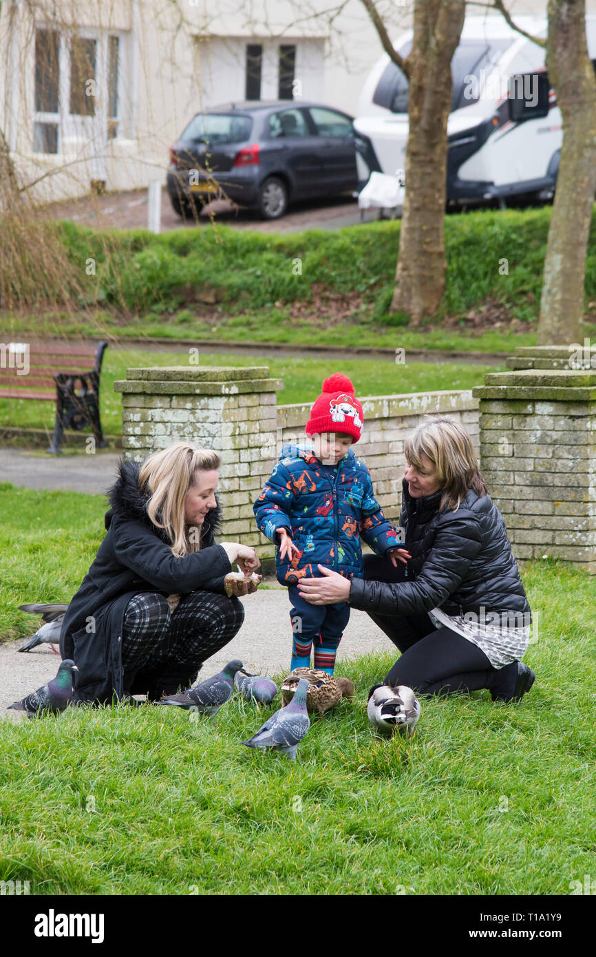 A child feeding pigeons and ducks with his mother and grandmother in a park. Stock Photo