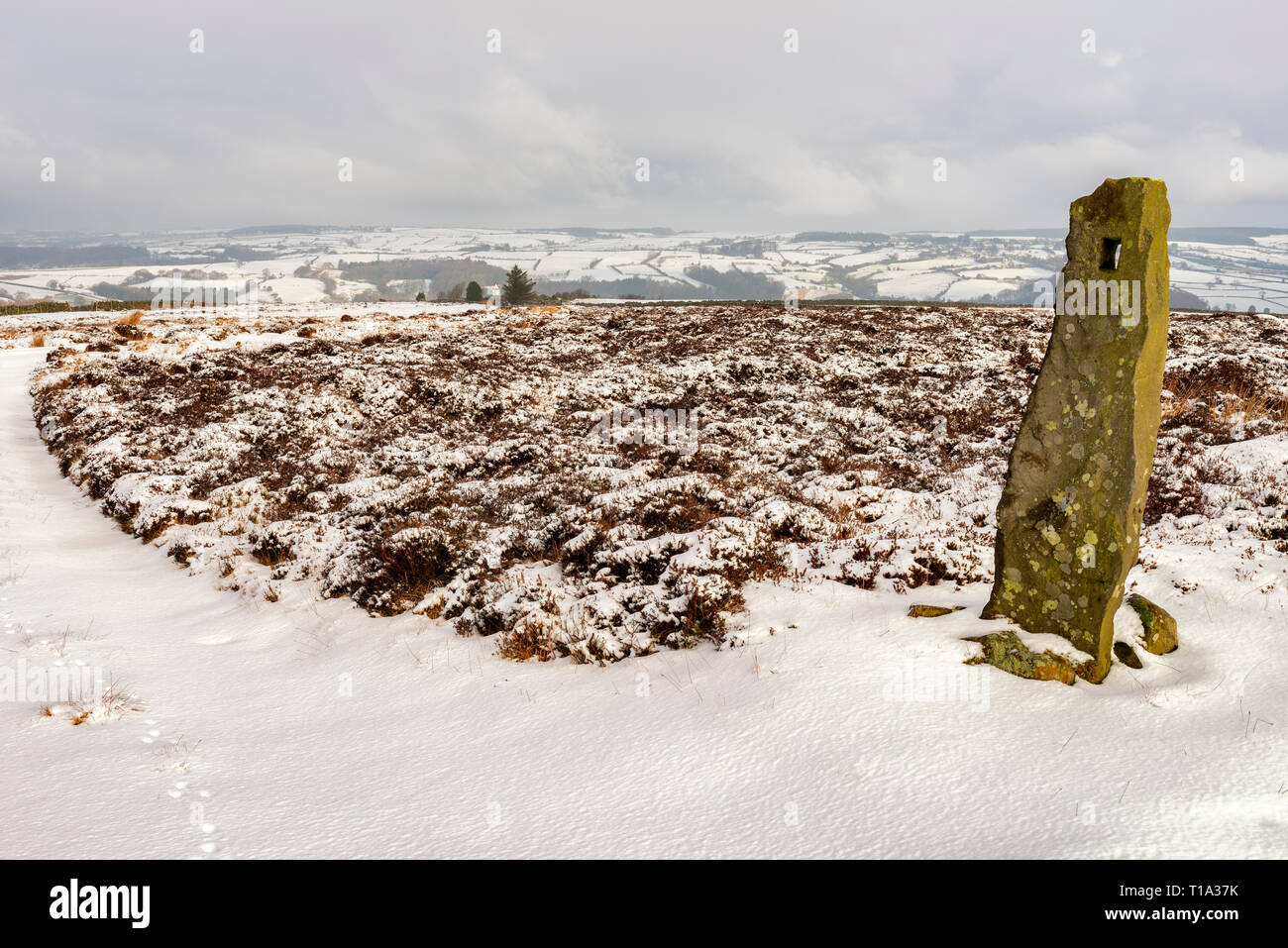 A stone gate post on Murk Mire Moor, near Egton Bridge Stock Photo