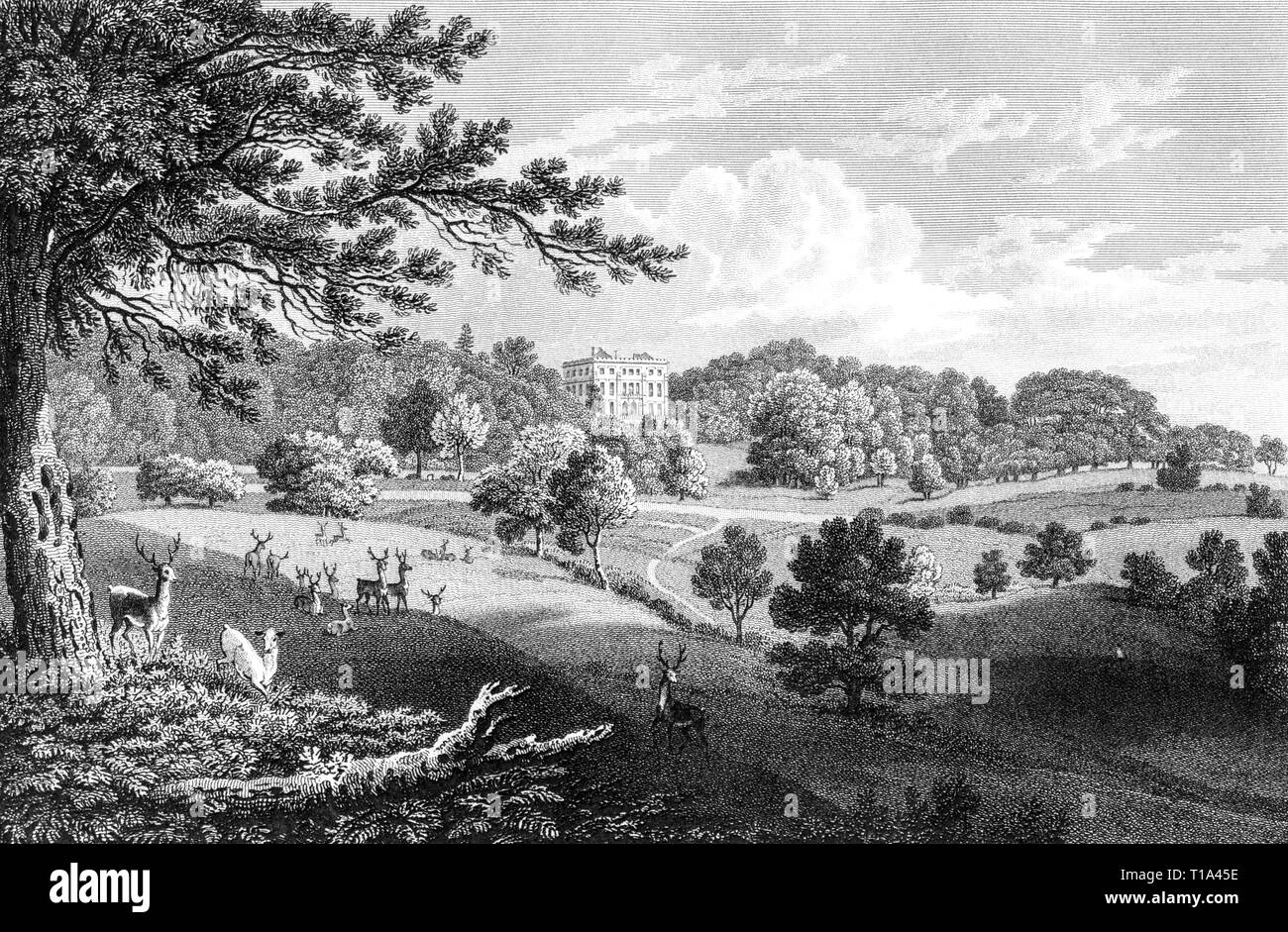 An engraving of Newark Park, Gloucestershire UK scanned at high resolution from a book published in 1825.  Believed copyright free. Stock Photo
