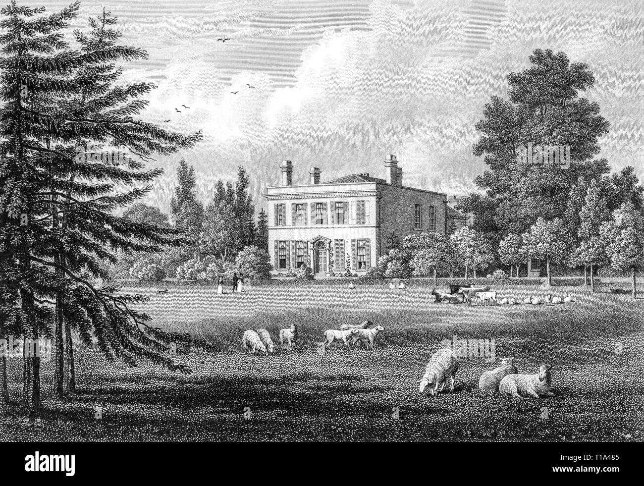 English mansion house Black and White Stock Photos & Images - Alamy