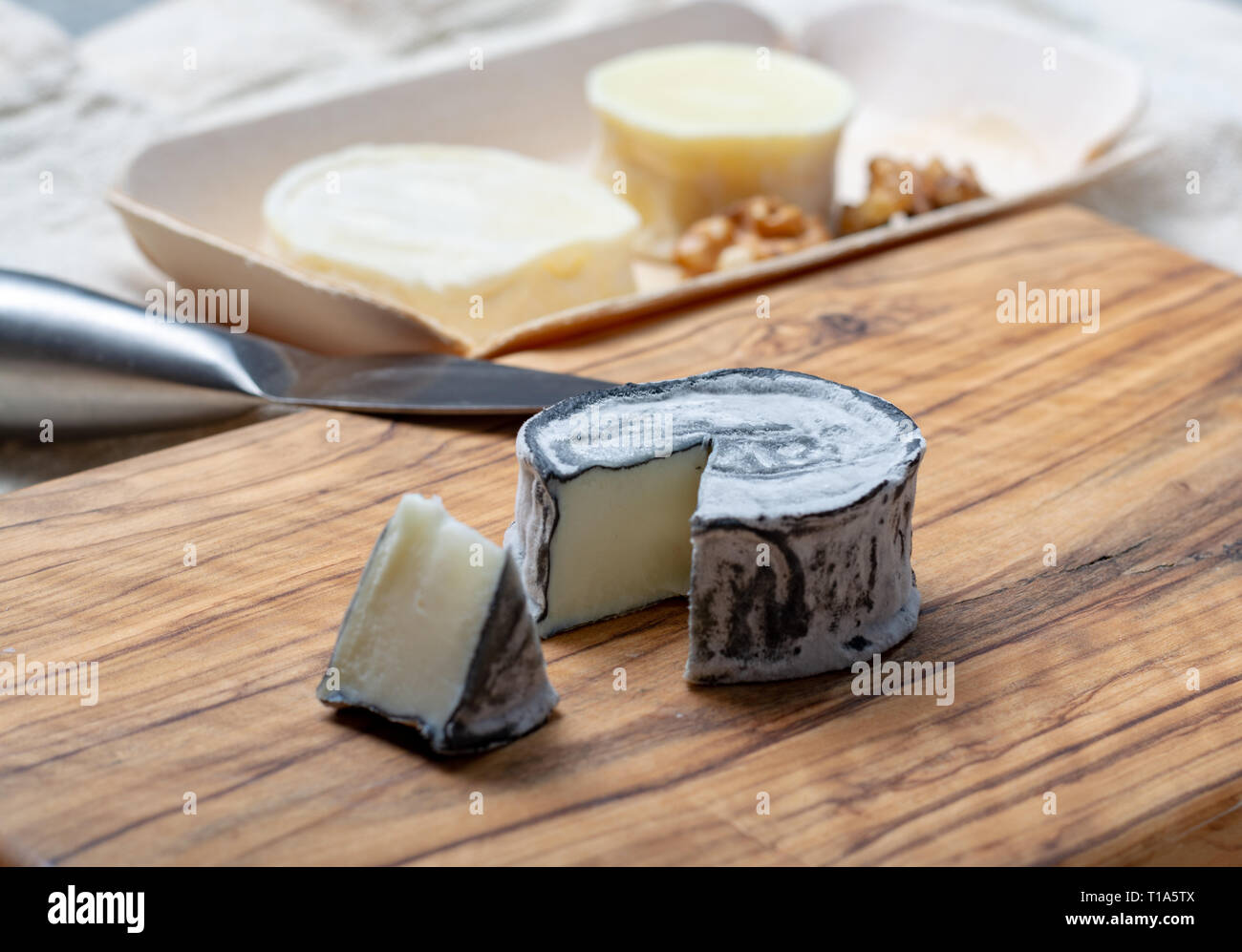 Assortment of French soft goat cheeses, Chevre Cendre, Cabecou Du