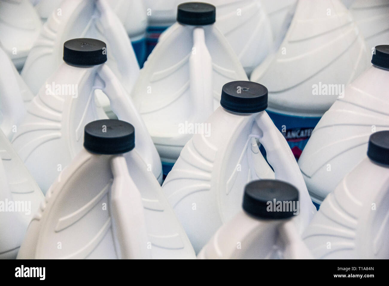 Bottles of bleach on sale at a grocery store in Ensenada, Mexico Stock