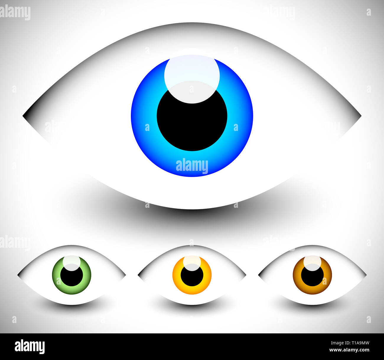 Eye graphic. Vision, seeing, sight, observation. Vector Stock Photo - Alamy