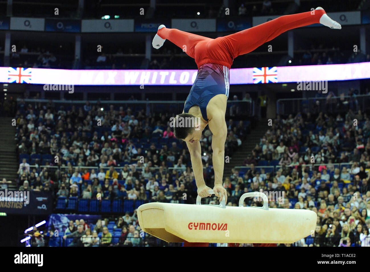 Max Whitlock (GBR, double Olympic gold and triple Olympic bronze