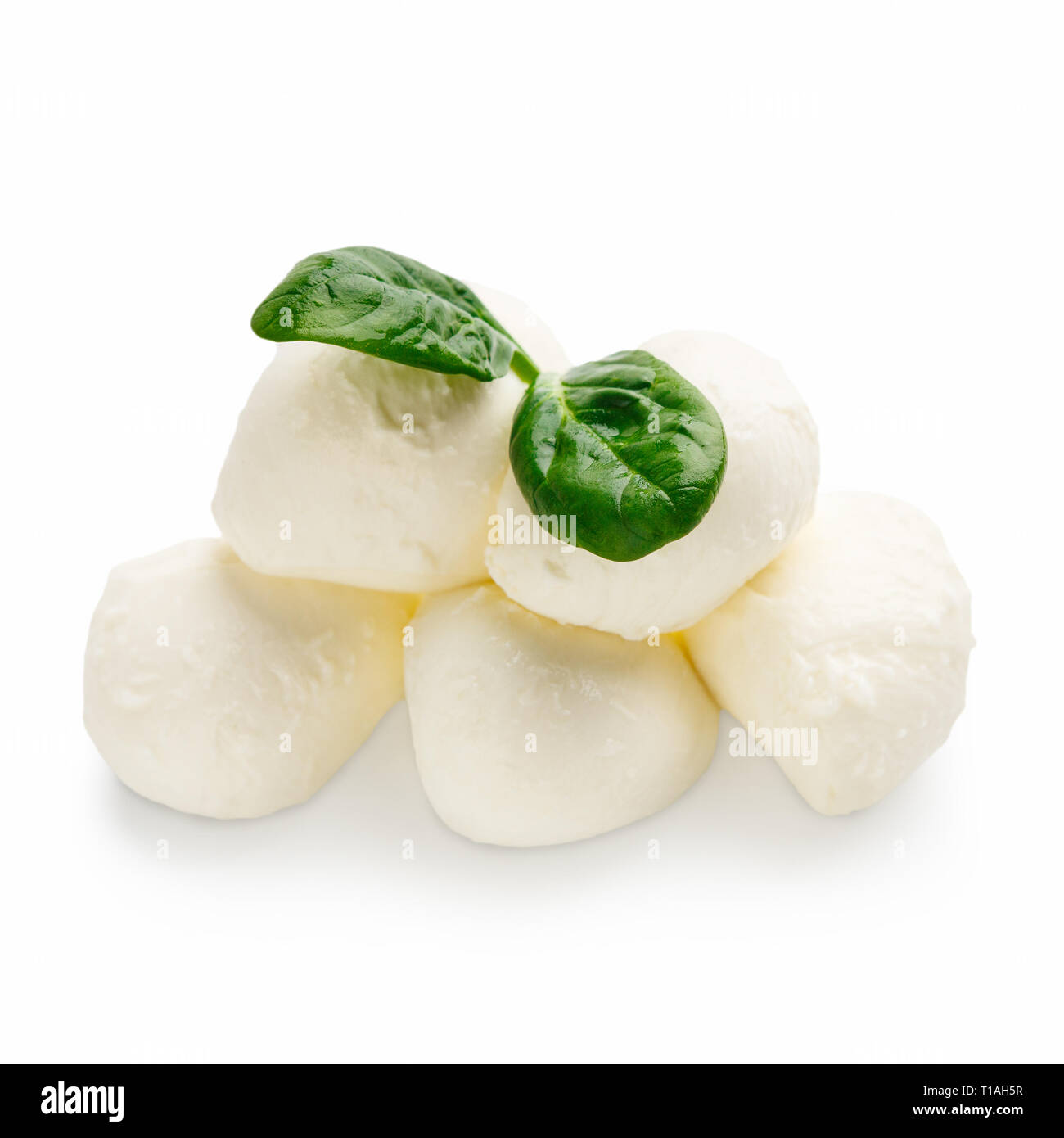 Mozzarella cheese and basil on white Stock Photo