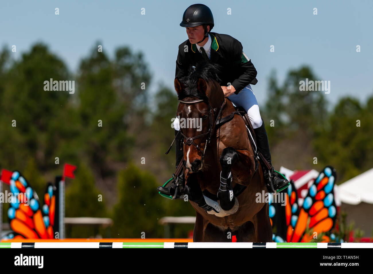 Raeford, North Carolina, USA. 24th Mar, 2019. March 24, 2019 Raeford