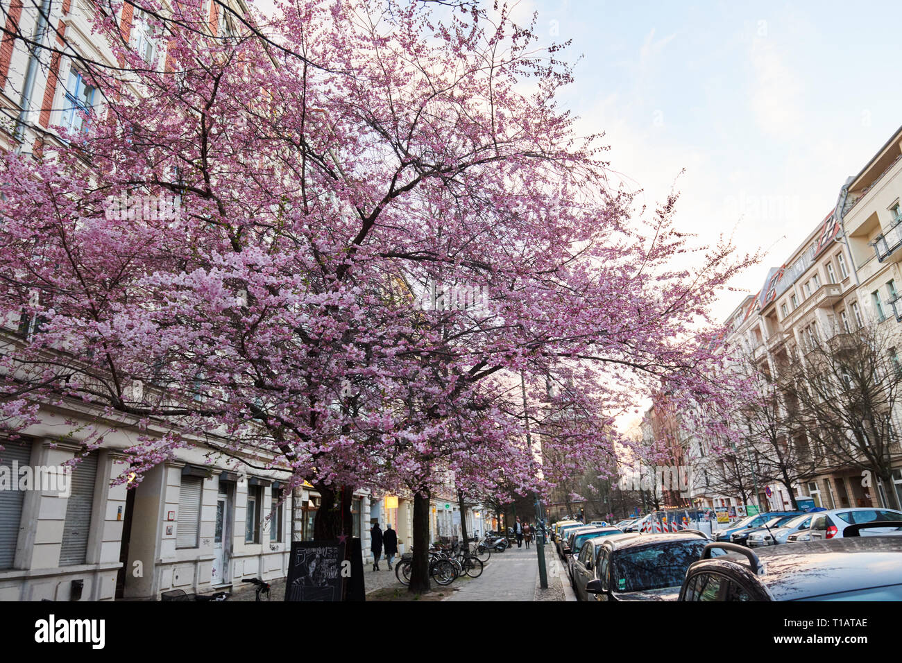 Berlin, Germany. 24th Mar, 2019. In the Rykestrasse in Prenzlauer Berg