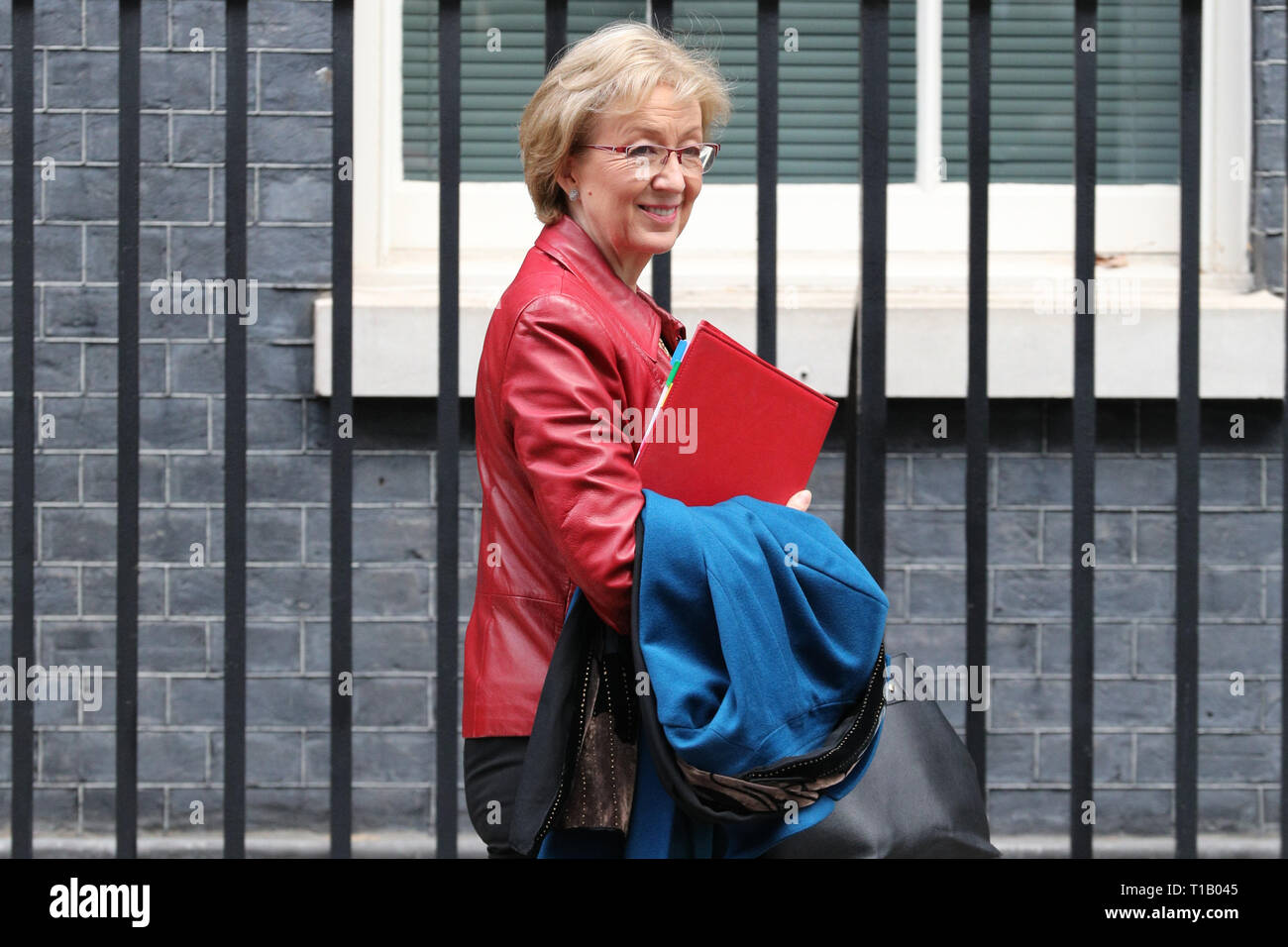 Downing Street, London, UK, 25th Mar 2019. Andrea Leadsom, Leader of the House of Commons. Ministers leave Downing Street. Credit: Imageplotter/Alamy Live News Stock Photo