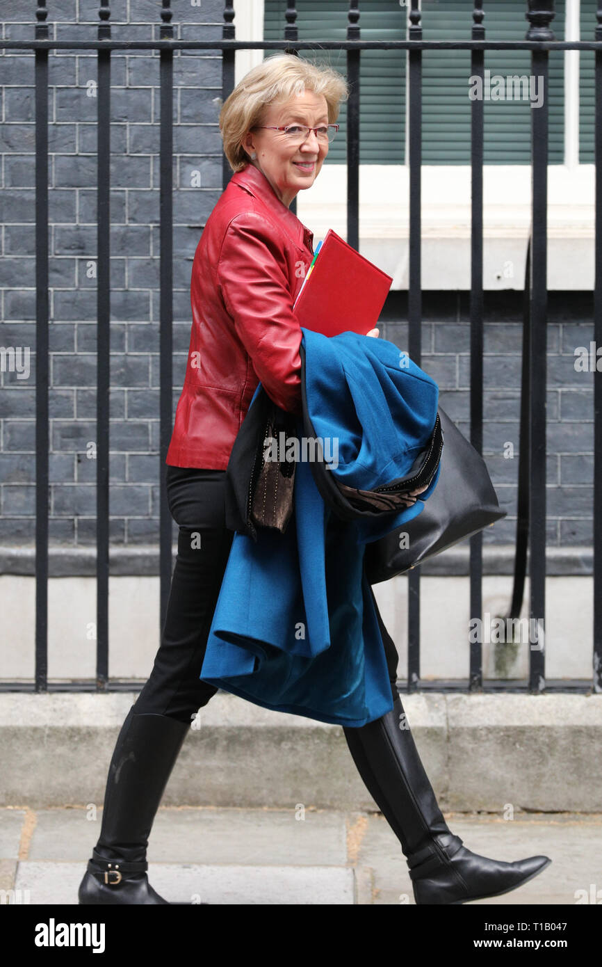 Downing Street, London, UK, 25th Mar 2019. Andrea Leadsom, Leader of the House of Commons. Ministers leave Downing Street. Credit: Imageplotter/Alamy Live News Stock Photo